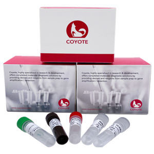 kit de test pour COVID-19