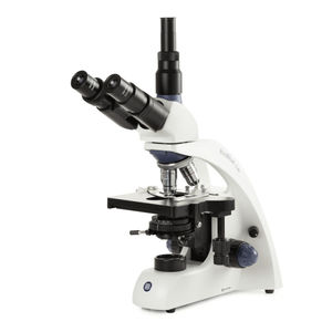 microscope optique