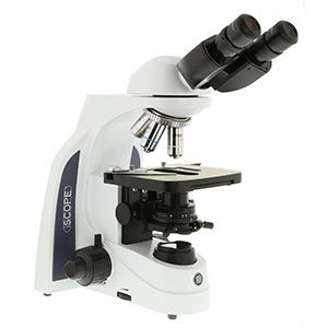 microscope optique