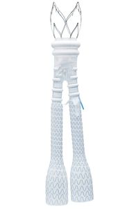 stent-greffe aorte abdominale
