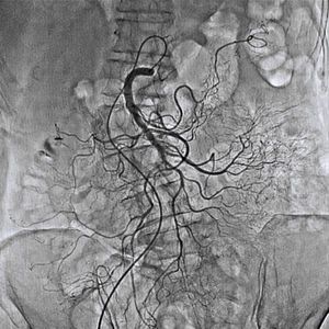 logiciel pour imagerie médicale