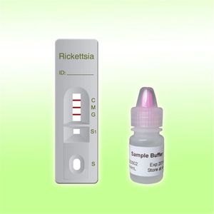 test rapide pour maladies infectieuses