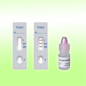 test rapide de toxoplasmose