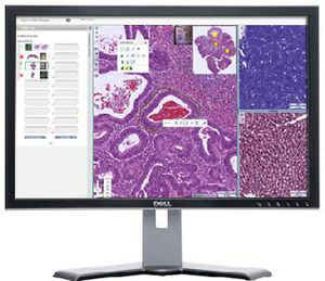 logiciel pour laboratoire d'histopathologie