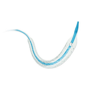 stent coronarien