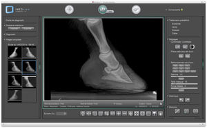 logiciel pour radiologie vétérinaire