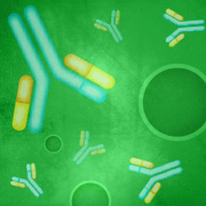 kit de réactifs anticorps monoclonal