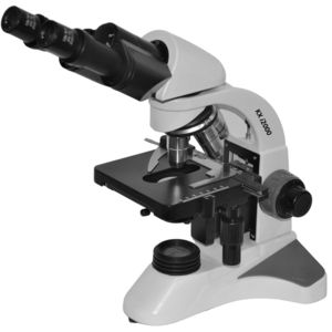 microscope optique