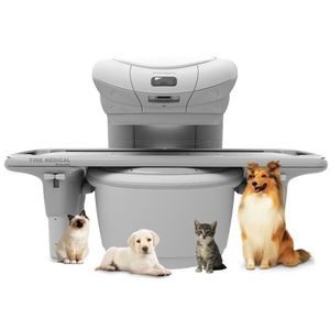 système d'IRM vétérinaire / pour animaux de compagnie