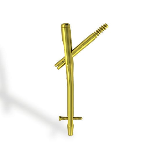 Clou intramédullaire fémoral - EBA ONE - Citieffe - fixation proximale / en titane