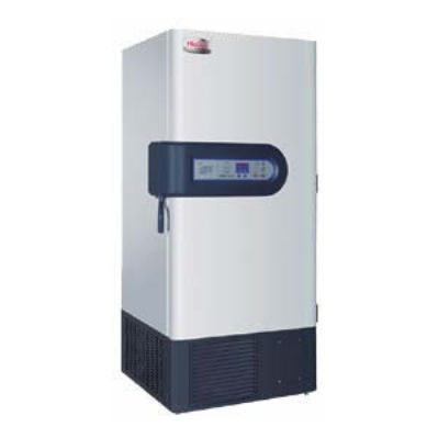 Congélateur de laboratoire - UL486 - MAAN Medical & Laboratory - de type armoire / 1 porte / ultra-basse température