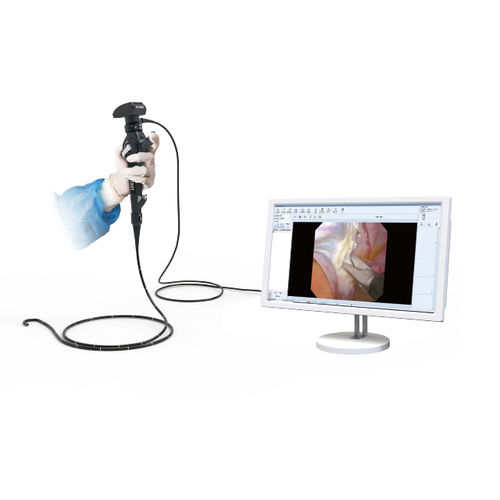 Gastroscope vétérinaire vidéo - D-2322 - Zhuhai Seesheen Medical Technology