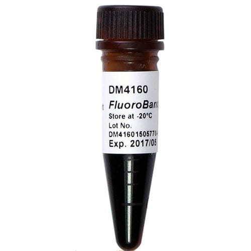 Échelle d'ADN - FluoroBand™ - SMOBIO Technology, Inc. - enzyme / pour extraction d'ADN / de pH