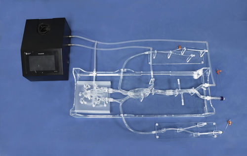 modèle anatomique intracrânien - Trando 3D Medical Technology