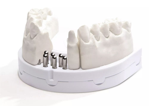 Modèle anatomique de dentition - optibase exclusiv  - Dentona AG - d'implantologie / de démonstration