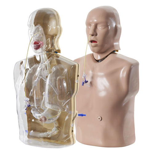 Mannequin de formation pour soins cliniques - AR90 - Adam, Rouilly - d'intubation nasogastrique / de nutrition / haut du corps