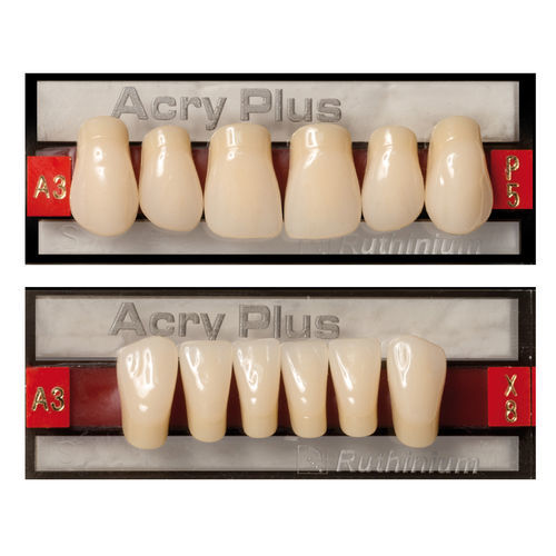 Prothèse dentaire en acrylique Acry Plus DENTAL MANUFACTURING S.p.A