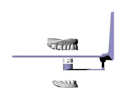 Traduction Dentier En Anglais  - Entier , Dans Son Entier , En Entier ,.