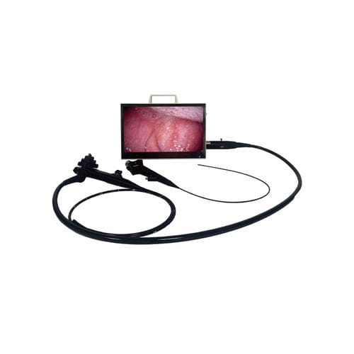 Écran d'endoscopie - BVI16 Vet - BMV