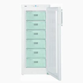 Congélateur de laboratoire - G280V - FDM - ENVIRONMENT MAKERS - de type armoire / 1 porte / refroidi par air