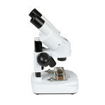 stéréomicroscope optique