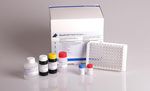 kit de test de leucose féline