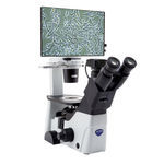 microscope optique