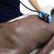 simulateur pour auscultation91100Limbs & Things