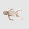 modèle anatomique gastriqueXC-424Xincheng Scientific Industries Co., Ltd.