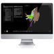 logiciel ORL / chirurgical / TDM / d'anatomie