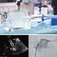 modèle anatomique de cœur / pour chirurgie vasculaire / de formation