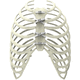 fil de cerclage orthopédique pour fermeture sternale / multifilament polymère