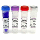 kit de test de Mycoplasma / pour maladies infectieuses / de contamination / de cellules