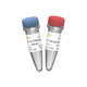 réactif ADN ligase / enzyme / acide nucléique / pour la recherche