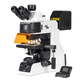 microscope à épifluorescence / optique / pour la cytologie / clinique