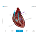 logiciel médical / d'anatomie / de gestion / de visualisation 3D