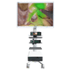 colonne d'endoscopie imagerie par fluorescence / imagerie 4K