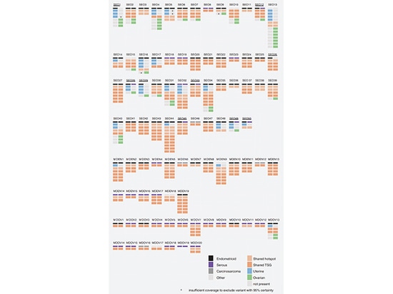 Recherche de SpaceGen sur le génotypage du carcinome endométrioïde de l'ovaire