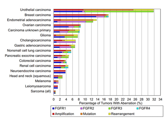 Une des cibles brûlantes de la thérapie pan-cancer - FGFR