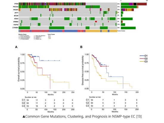 Les biomarqueurs des sous-types du cancer de l'endomètre