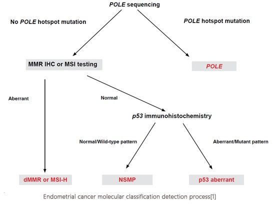 Processus de détection de la classification moléculaire du cancer de l'endomètre[1]