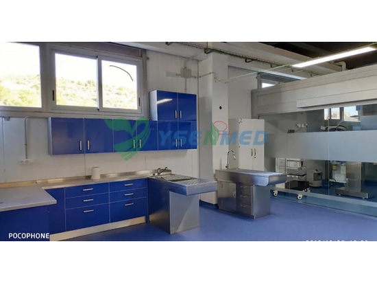 Installation d'équipements vétérinaires YSENMED dans une nouvelle clinique vétérinaire en Espagne.