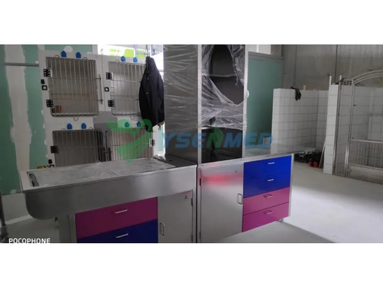 Installation d'équipements vétérinaires YSENMED dans une nouvelle clinique vétérinaire en Espagne.