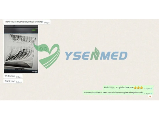 L'unité vétérinaire portable DR YSENMED YSX056-PE VET fonctionne bien dans une clinique vétérinaire en Russie.