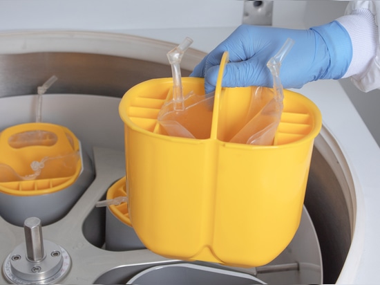 Blue Force 12L R : la centrifugeuse puissante, précise et éco-conçue pour les laboratoires d'aujourd'hui