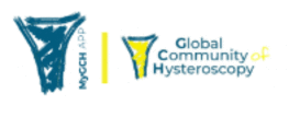 Global Hystero 2025