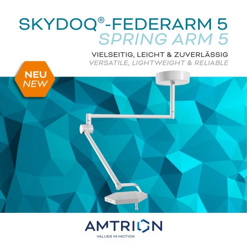 Spring arm 5