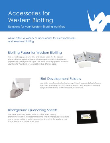 Azure Blotting Accessories