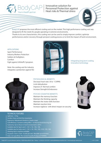 Cooling vest