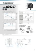 Compresseurs et Pompes Catalogue - 21